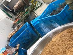 -赵记粽子(司前街店)