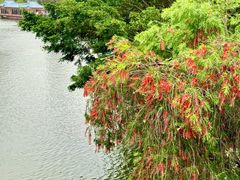 -珠海圆明新园