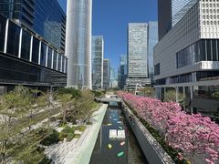 -深圳湾万象城(南山店)