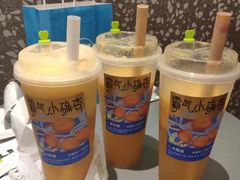 霸气小确杏-奈雪的茶(中海环宇荟店)