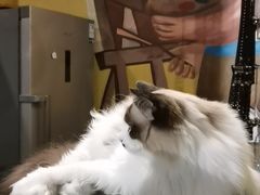 -咖法森林·咖啡  酒吧(天河店)