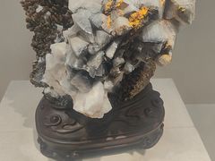 -安徽省地质博物馆