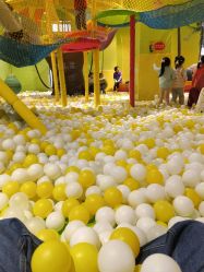 -宝燕乐园(闵行旗舰店)