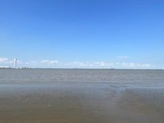 -上海吴淞炮台湾国家湿地公园