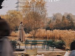 -Supine Bistro溯泮餐厅