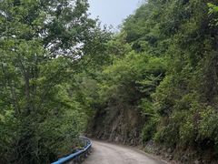 -宁波五龙潭景区