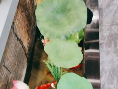 -洞庭家宴·头牌甲鱼(广渠门店)