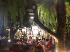 -Fern Forest Cafe