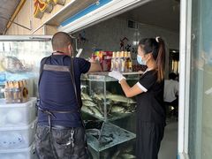 -煲来饱去冷水鱼