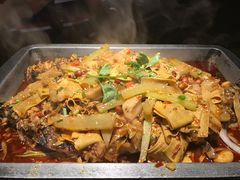 -锦尚阁烤鱼(望京新荟城店)