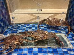 -顺峰(南二环店)