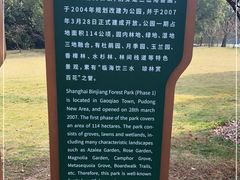 -上海滨江森林公园