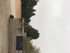 -原山国家森林公园