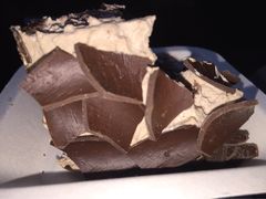 iphone_upload_pic-21cake廿一客蛋糕