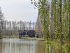 -黄海国家森林公园