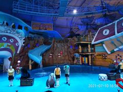 -烟台海昌鲸鲨海洋公园