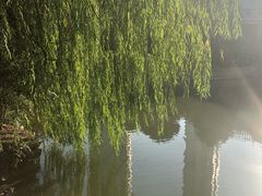 -华雅花园大酒店