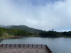 -海南热带雨林国家公园吊罗山景区