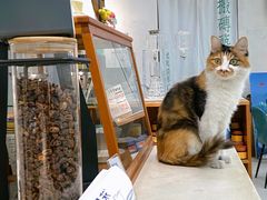 -玫瑰咖啡(中山六路店)