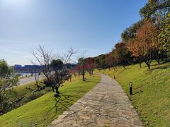 -羊山湖公园