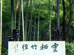 -云栖竹径