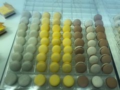 -BLACKSWAN黑天鹅(环球店)