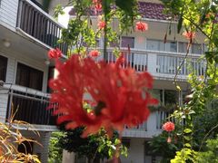 iphone_upload_pic-南丫岛