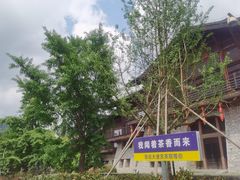 -大唐贡茶院