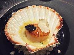-Oyster Talks 四度蚝法餐厅