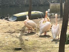 -黔灵山公园