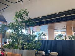-gaga(深圳福田星河COCO Park店)