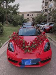 -蚂蚁婚车