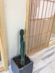 点击看大图 -赫本轻奢美颜中心