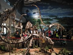 -自贡恐龙博物馆