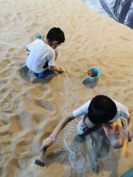 -恐龙探索乐园(磁器口店)