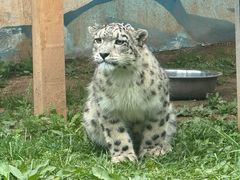 -青藏高原野生动物园