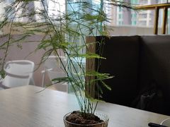-熹素·鲜美素食Vegetarian (天河领展店)