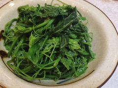 巧拌丝瓜尖-嘉陵楼馋嘴城(簋街总店)