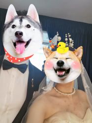 点击看大图 -金夫人婚纱摄影(华南店)