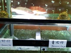 -国际金钻海鲜餐厅