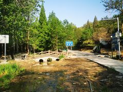 -白水寺森林公园