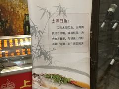 -金枝玉叶上海人家食府(三里河店)