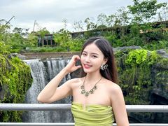 -新加坡飞禽公园