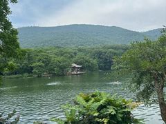 -紫霞湖公园