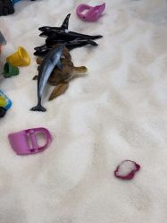 点击看大图 -超级奈尔宝SUPER NEOBIO(杭州星光店)