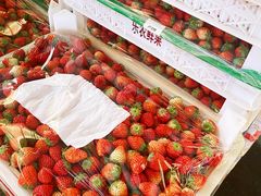 -西郊国际农产品交易中心