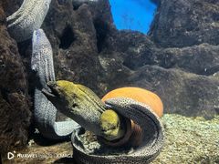 -福州罗源湾海洋世界旅游区