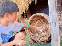 -HERRE·FARM 赫尔露营农场·团建聚会包场