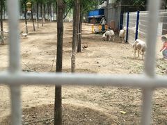 -东郊湿地公园