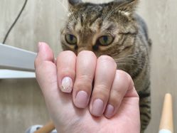 -Beauty Nails 美甲美睫皮肤管理